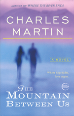 The Mountain Between Us