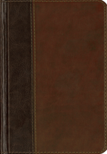 The Psalms, ESV